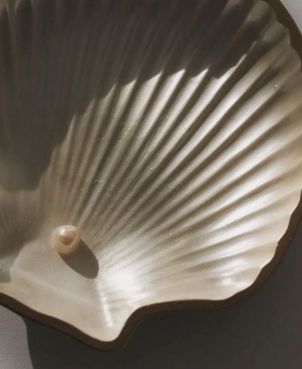 The inside of a seashell, pearl-white and ribbed